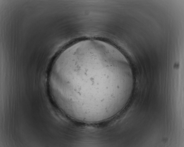 X0000102480592200808081034
