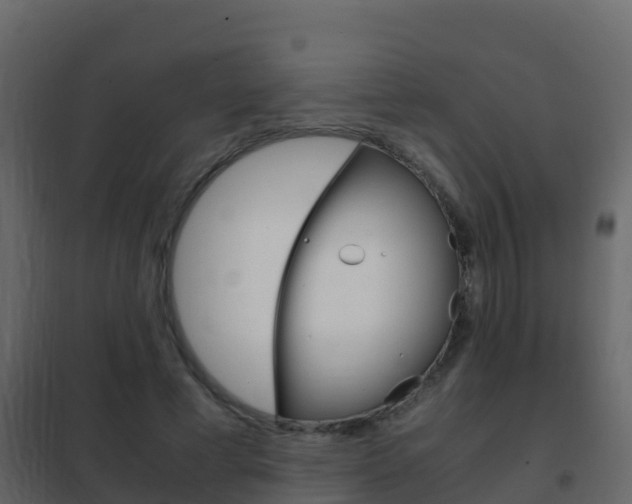X0000102480593200808081034