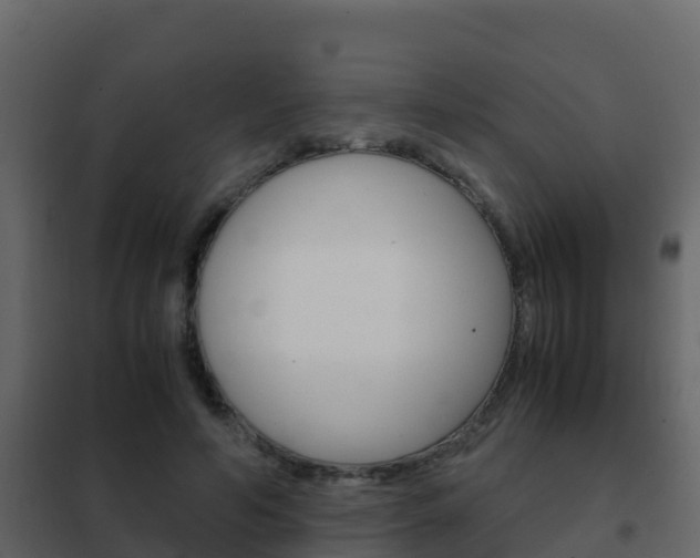 X0000102480594200808081034