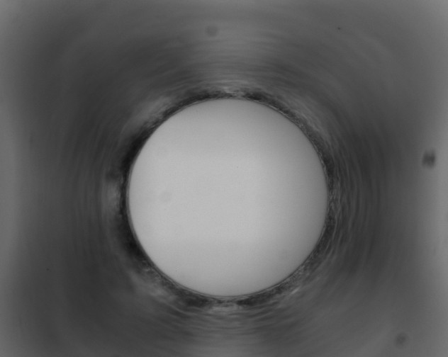 X0000102480595200808081034