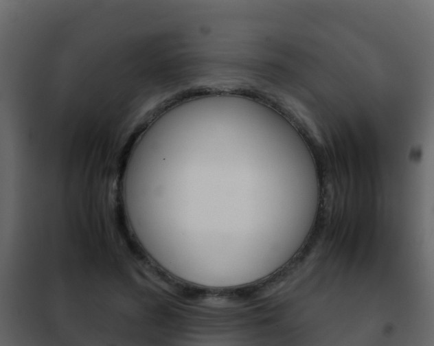 X0000102480596200808081034