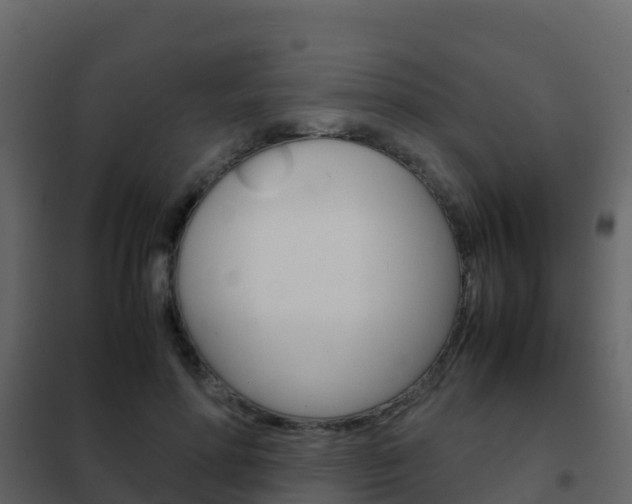 X0000102480598200808081034
