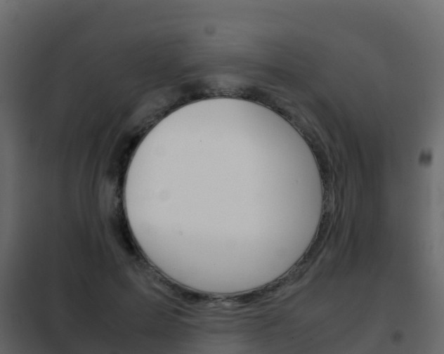 X0000102480599200808081034