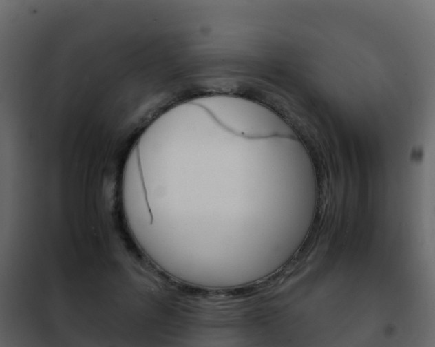 X0000102480600200808081034