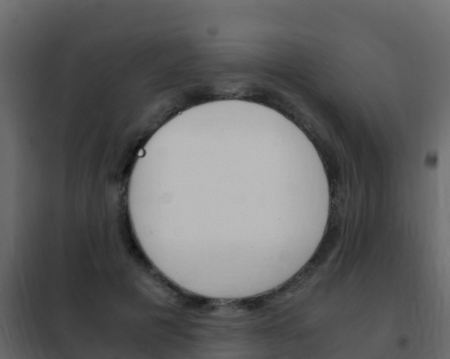 X0000102480601200808081034