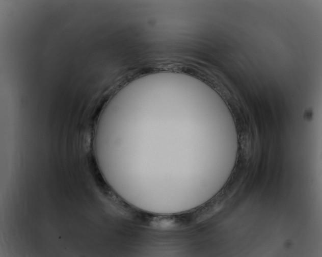 X0000102480602200808081034
