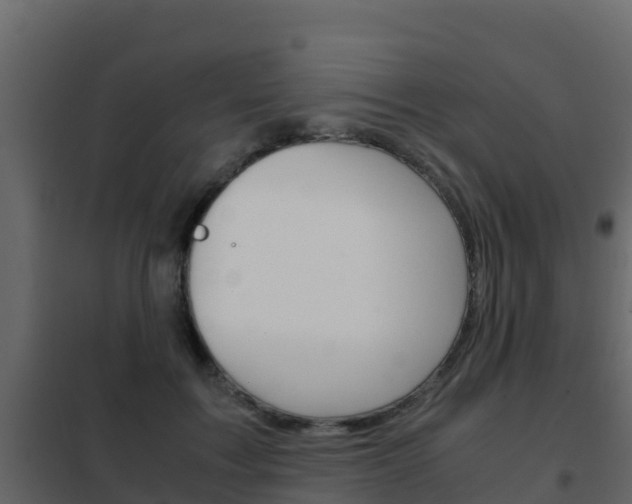 X0000102480603200808081034