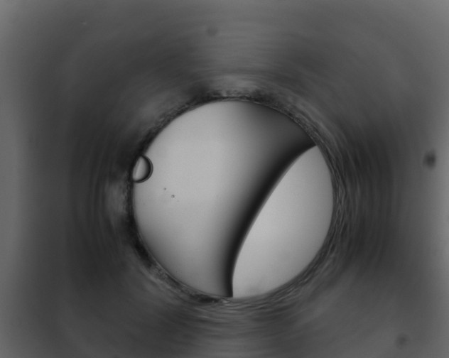 X0000102480604200808081034