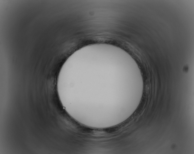 X0000102480605200808081034