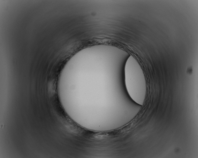 X0000102480606200808081034