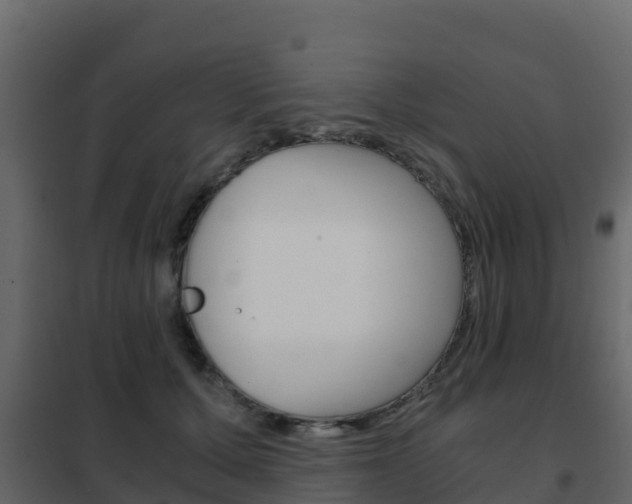 X0000102480607200808081034