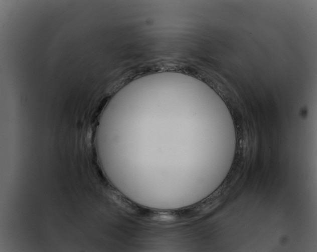 X0000102480610200808081034