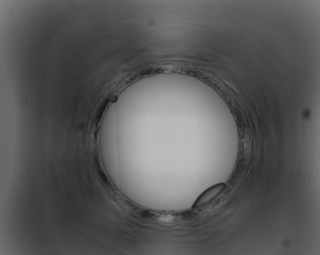X0000102480611200808081034