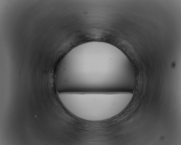 X0000102480612200808081034