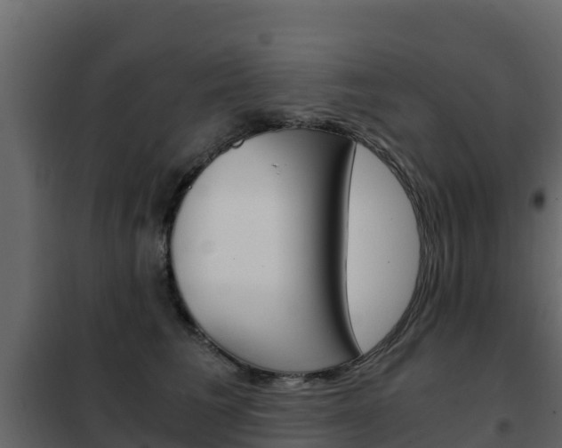 X0000102480613200808081034