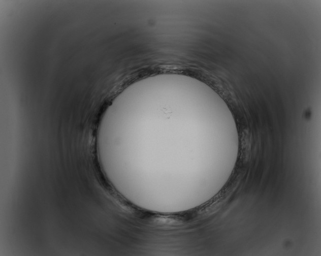 X0000102480614200808081034