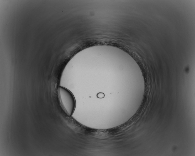 X0000102480615200808081034