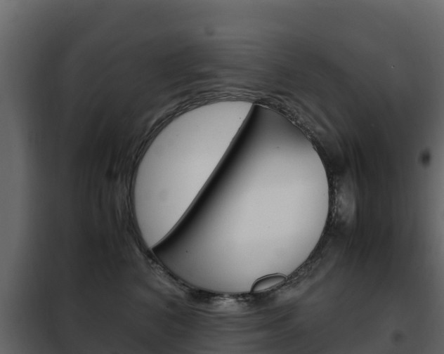 X0000102480616200808081034
