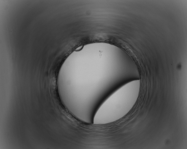 X0000102480617200808081034