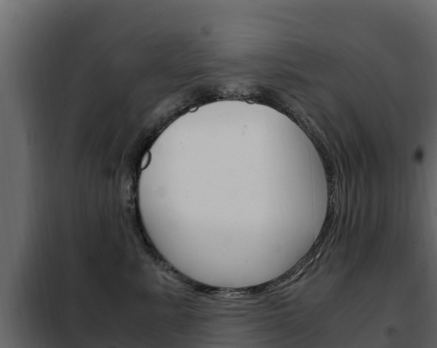 X0000102480619200808081034