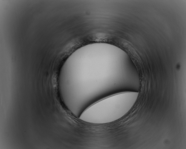 X0000102480620200808081034