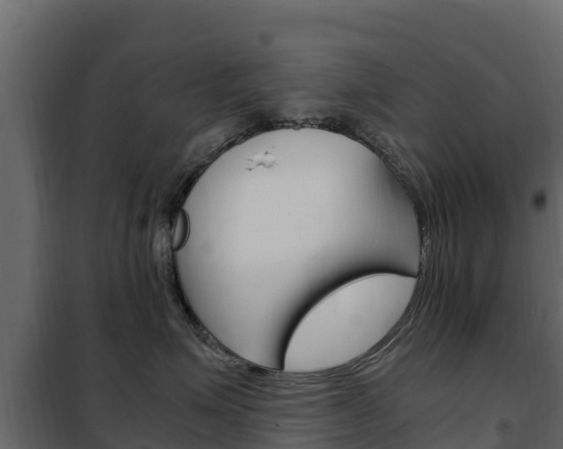 X0000102480623200808081034