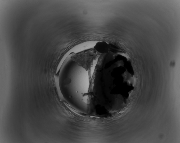 X0000102480624200808081034