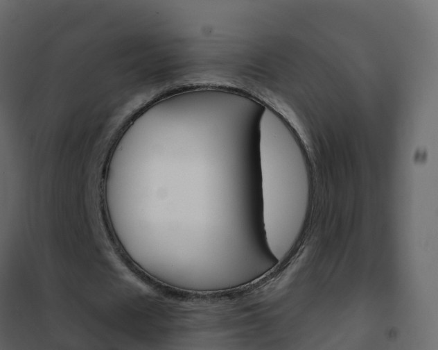 X0000102480625200808081033