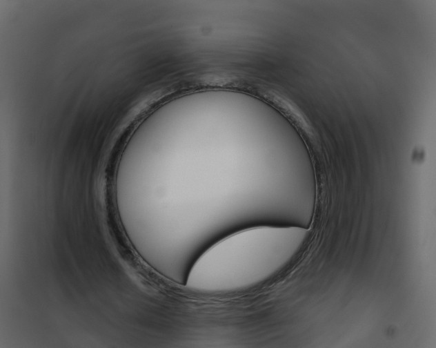 X0000102480626200808081033