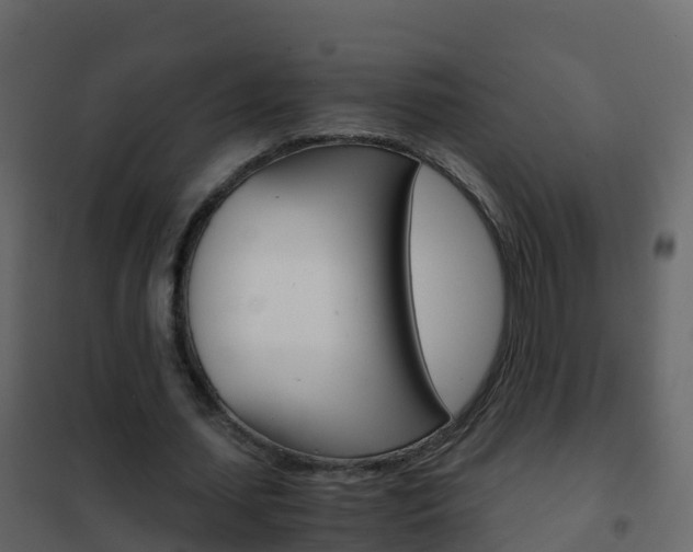 X0000102480627200808081033