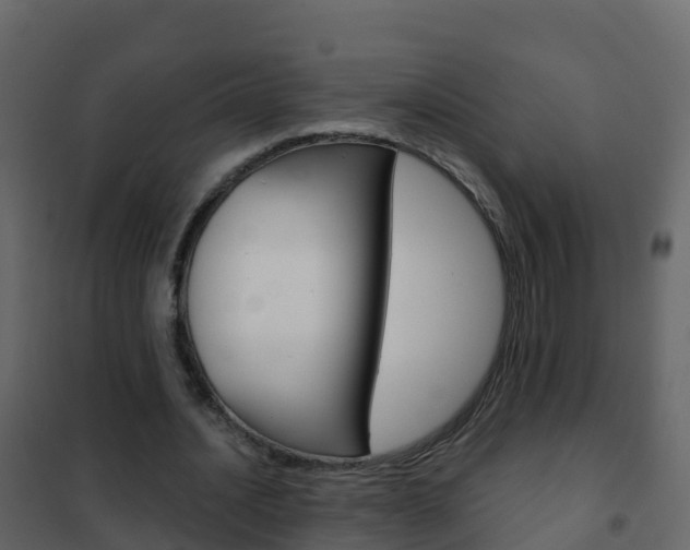 X0000102480628200808081033