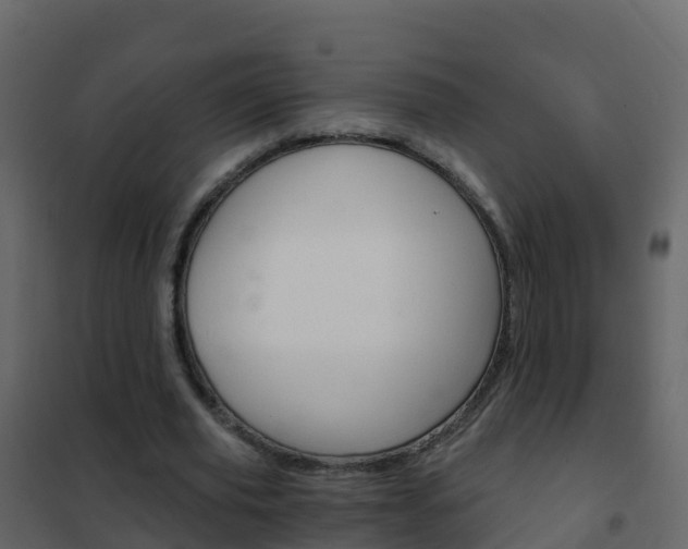 X0000102480629200808081033