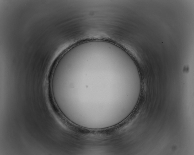 X0000102480630200808081033