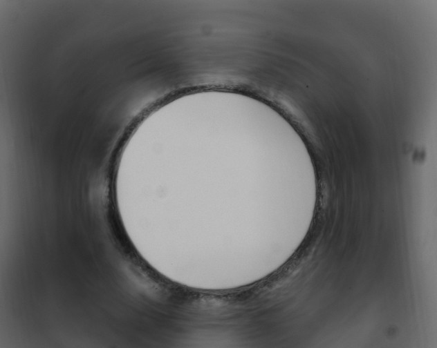 X0000102480632200808081033