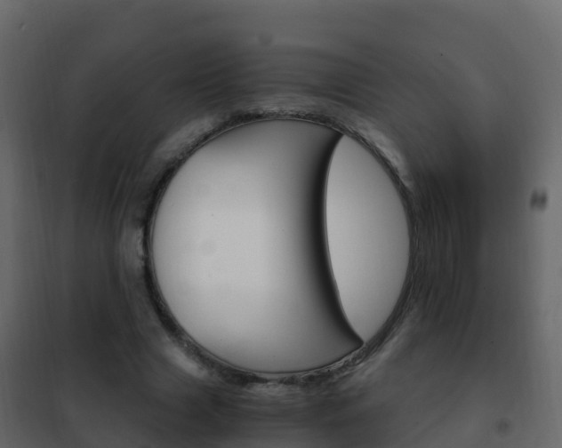 X0000102480633200808081033