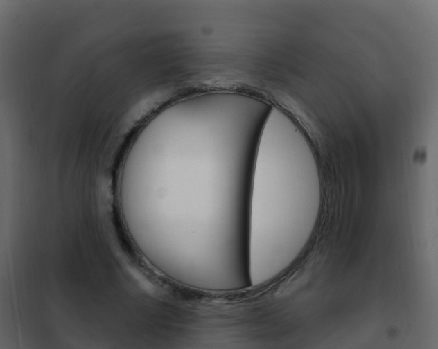 X0000102480634200808081033