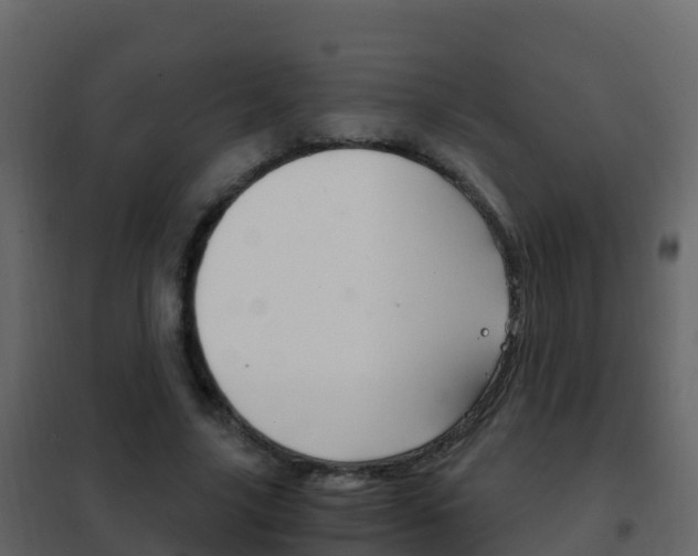 X0000102480635200808081033