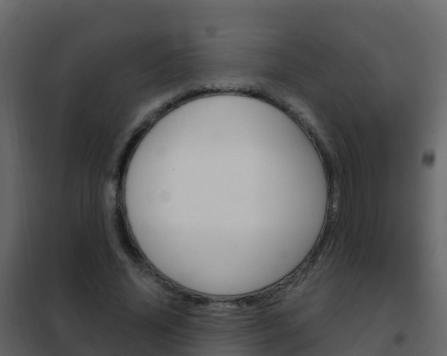 X0000102480636200808081033