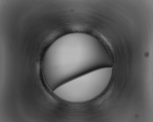 X0000102480637200808081033