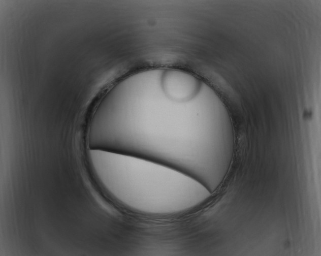 X0000102480638200808081033