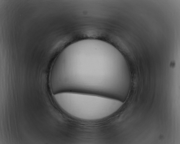 X0000102480639200808081033
