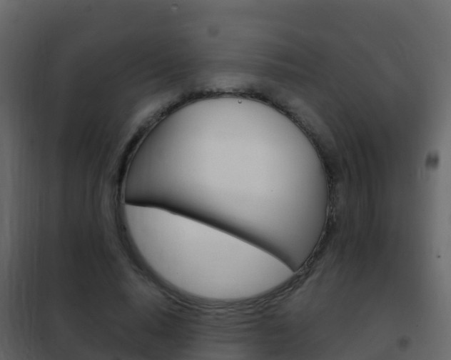 X0000102480640200808081033