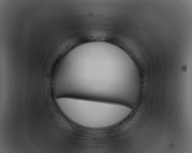 X0000102480641200808081033