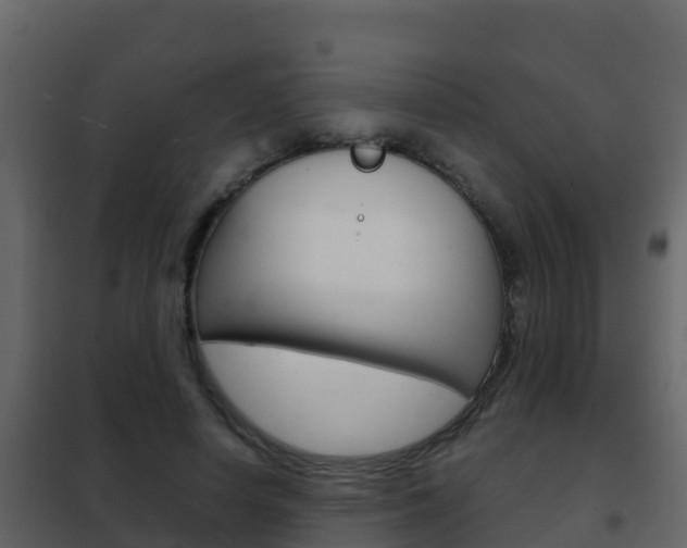 X0000102480642200808081033