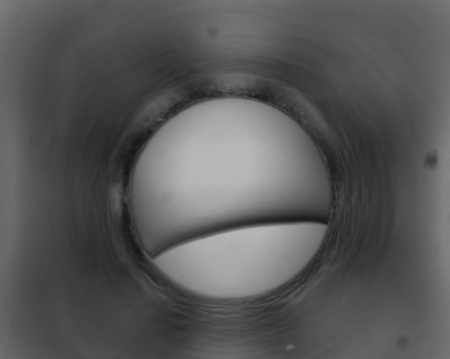 X0000102480644200808081033