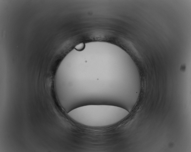 X0000102480645200808081033