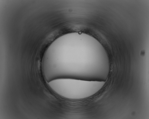 X0000102480646200808081034