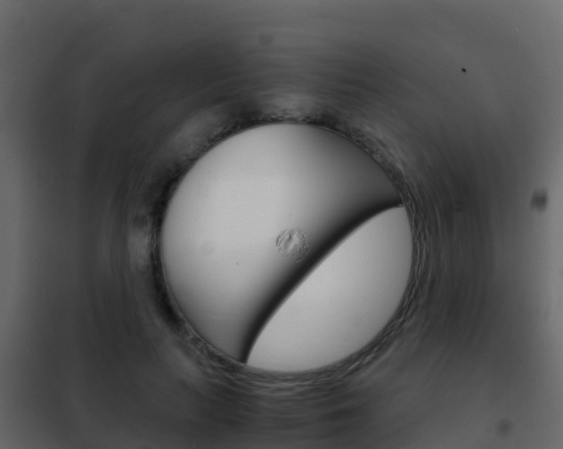 X0000102480647200808081034