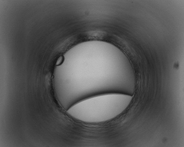 X0000102480649200808081034