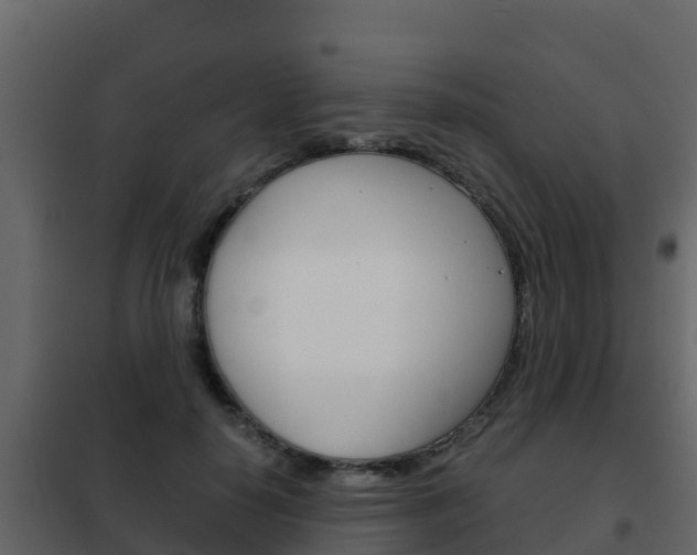 X0000102480650200808081034
